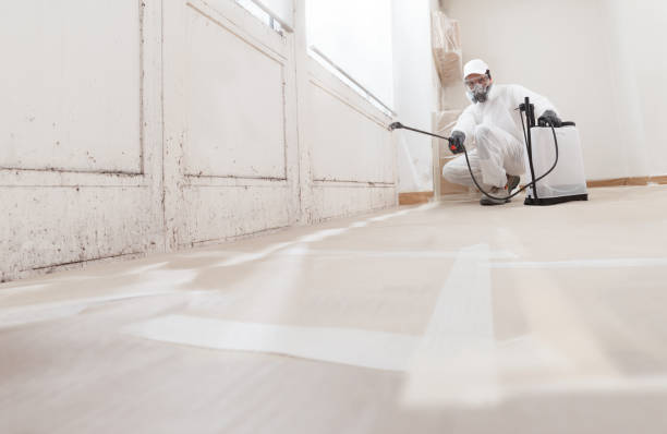24/7 Emergency Crawl Space Mold Remediation experts in McClure, PA
