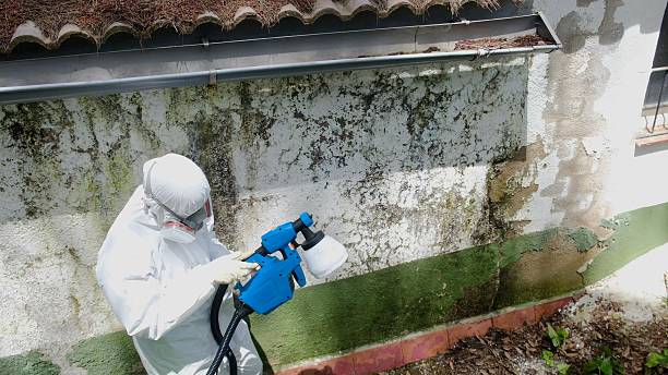 Top rated local Crawl Space Mold Remediation specialists in McClure, PA